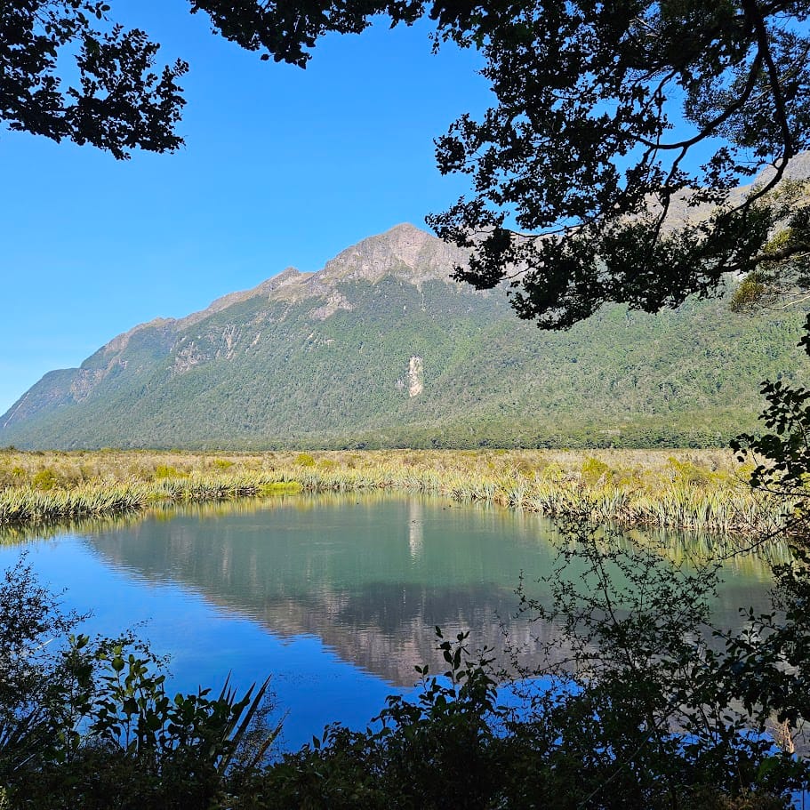 Blog 44: Nature's Playground: A Family Expedition Across New Zealand's  South Island